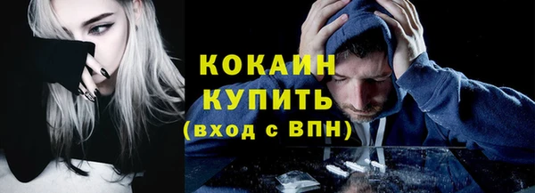 гашик Вязьма