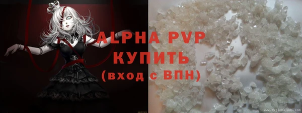 гашик Вязьма