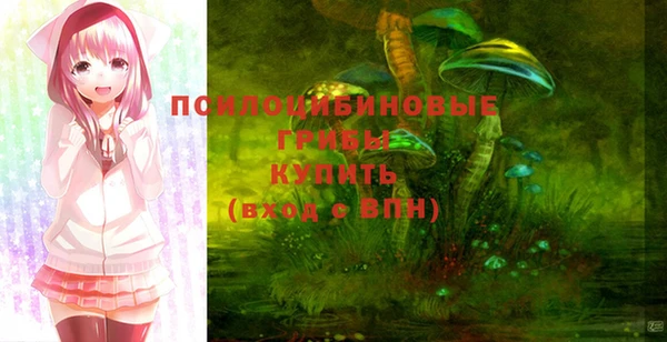 гашик Вязьма