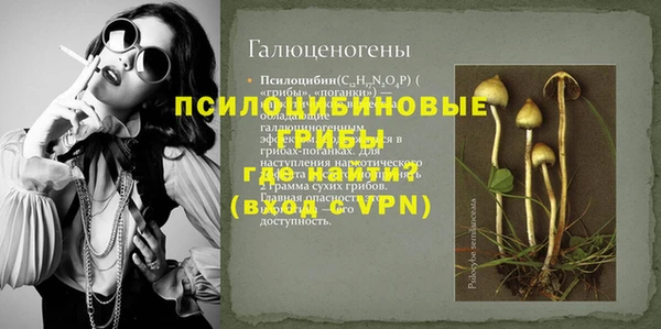 гашик Вязьма