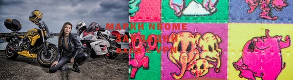 гашик Вязьма