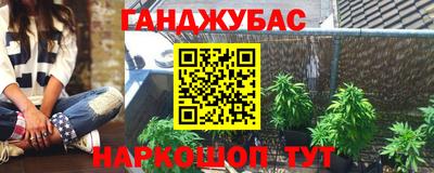 мяу мяу мука Гай
