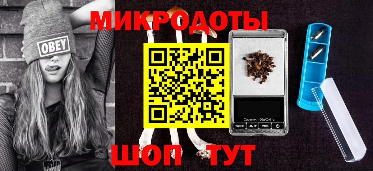 Псилоцибиновые грибы Psilocybe Казань